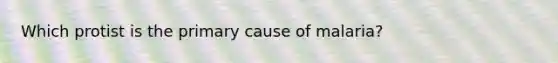 Which protist is the primary cause of malaria?