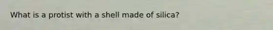 What is a protist with a shell made of silica?