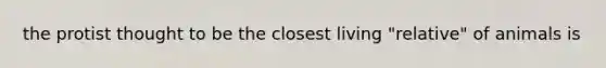 the protist thought to be the closest living "relative" of animals is