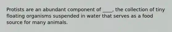 Protists are an abundant component of ____, the collection of tiny floating organisms suspended in water that serves as a food source for many animals.