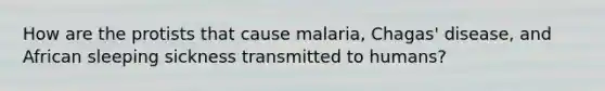 How are the protists that cause malaria, Chagas' disease, and African sleeping sickness transmitted to humans?