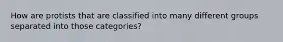 How are protists that are classified into many different groups separated into those categories?