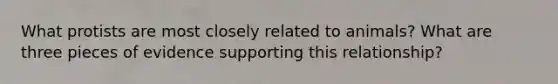 What protists are most closely related to animals? What are three pieces of evidence supporting this relationship?