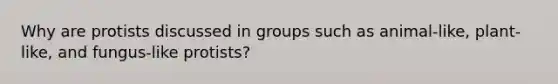 Why are protists discussed in groups such as animal-like, plant-like, and fungus-like protists?