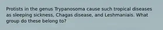 Protists in the genus Trypanosoma cause such tropical diseases as sleeping sickness, Chagas disease, and Leshmaniais. What group do these belong to?