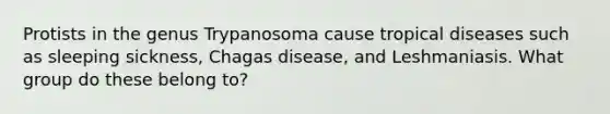 Protists in the genus Trypanosoma cause tropical diseases such as sleeping sickness, Chagas disease, and Leshmaniasis. What group do these belong to?