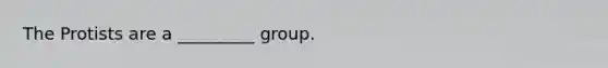 The Protists are a _________ group.