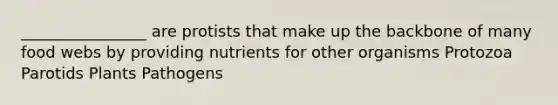 ________________ are protists that make up the backbone of many food webs by providing nutrients for other organisms Protozoa Parotids Plants Pathogens