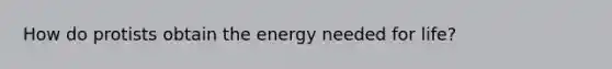 How do protists obtain the energy needed for life?