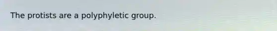 The protists are a polyphyletic group.