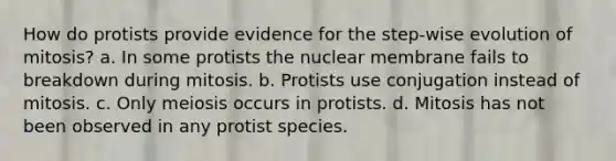 How do protists provide evidence for the step-wise evolution of mitosis? a. In some protists the nuclear membrane fails to breakdown during mitosis. b. Protists use conjugation instead of mitosis. c. Only meiosis occurs in protists. d. Mitosis has not been observed in any protist species.