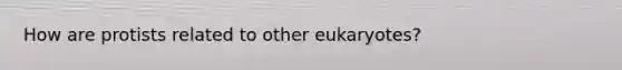 How are protists related to other eukaryotes?