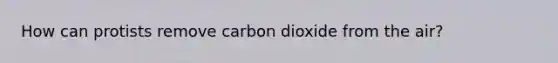 How can protists remove carbon dioxide from the air?