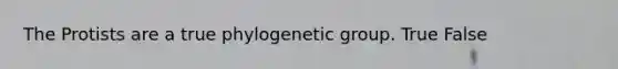 The Protists are a true phylogenetic group. True False