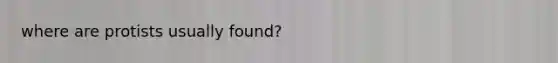 where are protists usually found?