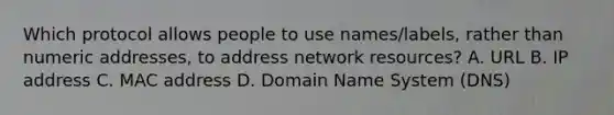 Which protocol allows people to use names/labels, rather than numeric addresses, to address network resources? A. URL B. IP address C. MAC address D. Domain Name System (DNS)