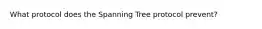 What protocol does the Spanning Tree protocol prevent?