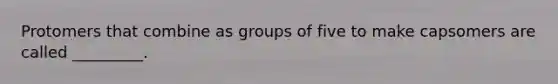 Protomers that combine as groups of five to make capsomers are called _________.