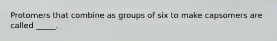 Protomers that combine as groups of six to make capsomers are called _____.