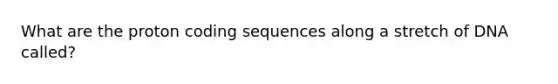 What are the proton coding sequences along a stretch of DNA called?