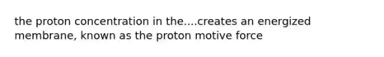 the proton concentration in the....creates an energized membrane, known as the proton motive force