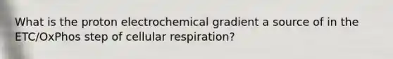 What is the proton electrochemical gradient a source of in the ETC/OxPhos step of <a href='https://www.questionai.com/knowledge/k1IqNYBAJw-cellular-respiration' class='anchor-knowledge'>cellular respiration</a>?