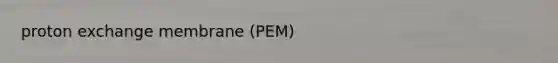 proton exchange membrane (PEM)