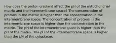 How does the proton gradient affect the pH of the mitochondrial matrix and the intermembrane space? The concentration of protons in the matrix is higher than the concentration in the intermembrane space. The concentration of protons in the intermembrane space is higher than the concentration in the matrix. The pH of the intermembrane space is higher than the pH of the matrix. The pH of the intermembrane space is higher than the pH of the cytoplasm.