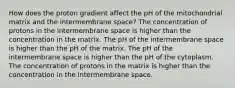 How does the proton gradient affect the pH of the mitochondrial matrix and the intermembrane space? The concentration of protons in the intermembrane space is higher than the concentration in the matrix. The pH of the intermembrane space is higher than the pH of the matrix. The pH of the intermembrane space is higher than the pH of the cytoplasm. The concentration of protons in the matrix is higher than the concentration in the intermembrane space.