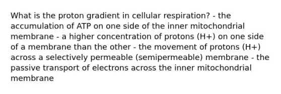 What is the proton gradient in <a href='https://www.questionai.com/knowledge/k1IqNYBAJw-cellular-respiration' class='anchor-knowledge'>cellular respiration</a>? - the accumulation of ATP on one side of the inner mitochondrial membrane - a higher concentration of protons (H+) on one side of a membrane than the other - the movement of protons (H+) across a selectively permeable (semipermeable) membrane - the passive transport of electrons across the inner mitochondrial membrane