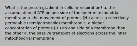 What is the proton gradient in cellular respiration? a. the accumulation of ATP on one side of the inner mitochondrial membrane b. the movement of protons (H ) across a selectively permeable (semipermeable) membrane c. a higher concentration of protons (H ) on one side of a membrane than the other d. the passive transport of electrons across the inner mitochondrial membrane