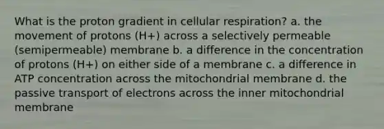 What is the proton gradient in cellular respiration? a. the movement of protons (H+) across a selectively permeable (semipermeable) membrane b. a difference in the concentration of protons (H+) on either side of a membrane c. a difference in ATP concentration across the mitochondrial membrane d. the passive transport of electrons across the inner mitochondrial membrane