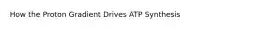 How the Proton Gradient Drives ATP Synthesis