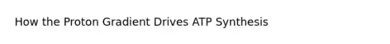 How the Proton Gradient Drives <a href='https://www.questionai.com/knowledge/kx3XpCJrFz-atp-synthesis' class='anchor-knowledge'>atp synthesis</a>