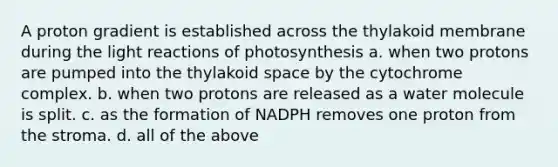 A proton gradient is established across the thylakoid membrane during the <a href='https://www.questionai.com/knowledge/kSUoWrrvoC-light-reactions' class='anchor-knowledge'>light reactions</a> of photosynthesis a. when two protons are pumped into the thylakoid space by the cytochrome complex. b. when two protons are released as a water molecule is split. c. as the formation of NADPH removes one proton from the stroma. d. all of the above