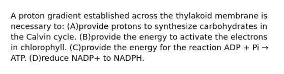 A proton gradient established across the thylakoid membrane is necessary to: (A)provide protons to synthesize carbohydrates in the Calvin cycle. (B)provide the energy to activate the electrons in chlorophyll. (C)provide the energy for the reaction ADP + Pi → ATP. (D)reduce NADP+ to NADPH.