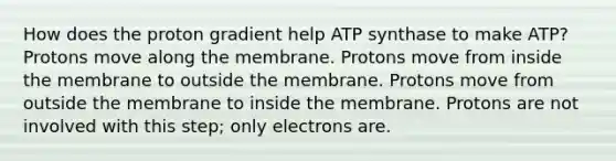 How does the proton gradient help ATP synthase to make ATP? Protons move along the membrane. Protons move from inside the membrane to outside the membrane. Protons move from outside the membrane to inside the membrane. Protons are not involved with this step; only electrons are.