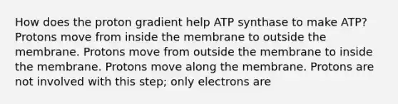 How does the proton gradient help ATP synthase to make ATP? Protons move from inside the membrane to outside the membrane. Protons move from outside the membrane to inside the membrane. Protons move along the membrane. Protons are not involved with this step; only electrons are