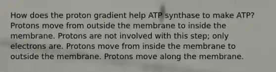 How does the proton gradient help ATP synthase to make ATP? Protons move from outside the membrane to inside the membrane. Protons are not involved with this step; only electrons are. Protons move from inside the membrane to outside the membrane. Protons move along the membrane.