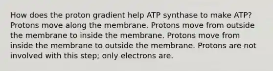 How does the proton gradient help ATP synthase to make ATP? Protons move along the membrane. Protons move from outside the membrane to inside the membrane. Protons move from inside the membrane to outside the membrane. Protons are not involved with this step; only electrons are.