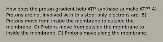 How does the proton gradient help ATP synthase to make ATP? A) Protons are not involved with this step; only electrons are. B) Protons move from inside the membrane to outside the membrane. C) Protons move from outside the membrane to inside the membrane. D) Protons move along the membrane.