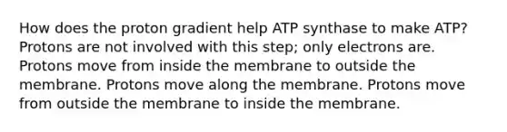 How does the proton gradient help ATP synthase to make ATP? Protons are not involved with this step; only electrons are. Protons move from inside the membrane to outside the membrane. Protons move along the membrane. Protons move from outside the membrane to inside the membrane.