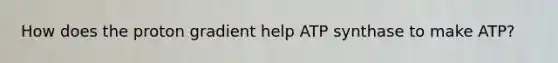 How does the proton gradient help ATP synthase to make ATP?