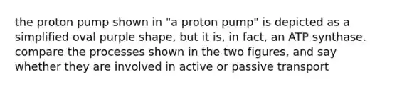 the proton pump shown in "a proton pump" is depicted as a simplified oval purple shape, but it is, in fact, an ATP synthase. compare the processes shown in the two figures, and say whether they are involved in active or passive transport