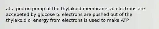 at a proton pump of the thylakoid membrane: a. electrons are accepeted by glucose b. electrons are pushed out of the thylakoid c. energy from electrons is used to make ATP