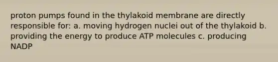 proton pumps found in the thylakoid membrane are directly responsible for: a. moving hydrogen nuclei out of the thylakoid b. providing the energy to produce ATP molecules c. producing NADP