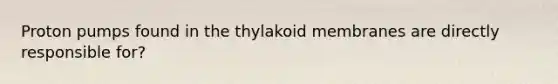 Proton pumps found in the thylakoid membranes are directly responsible for?