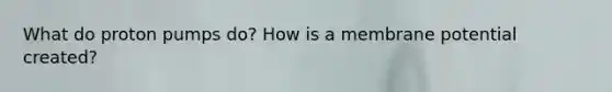 What do proton pumps do? How is a membrane potential created?