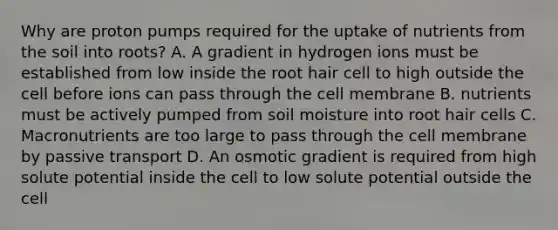 Why are proton pumps required for the uptake of nutrients from the soil into roots? A. A gradient in hydrogen ions must be established from low inside the root hair cell to high outside the cell before ions can pass through the cell membrane B. nutrients must be actively pumped from soil moisture into root hair cells C. Macronutrients are too large to pass through the cell membrane by passive transport D. An osmotic gradient is required from high solute potential inside the cell to low solute potential outside the cell