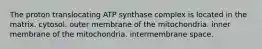 The proton translocating ATP synthase complex is located in the matrix. cytosol. outer membrane of the mitochondria. inner membrane of the mitochondria. intermembrane space.